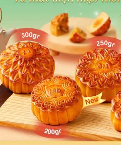 Bánh trung thu Givral nhân thập cẩm gà quay vi cá đặc biệt