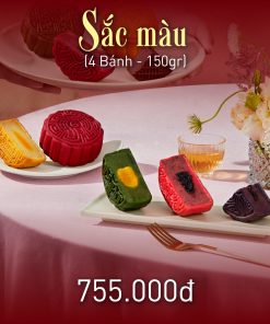 Combo Sắc màu