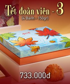 Combo ĐOÀN VIÊN 3